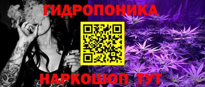 таблы Кингисепп