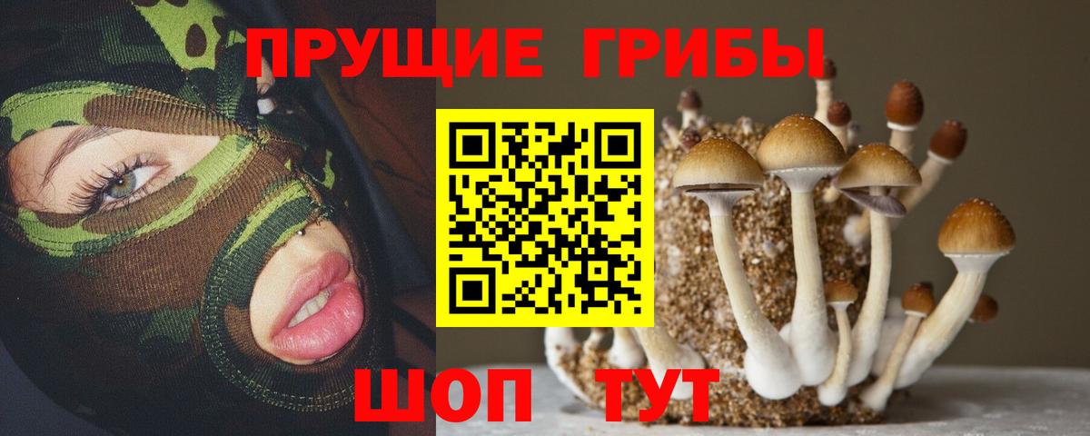 Галлюциногенные грибы Magic Shrooms Красноармейск